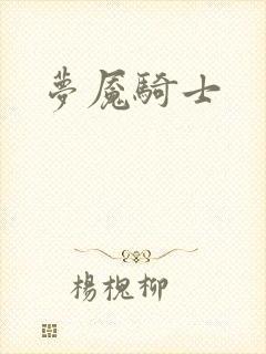 梦魇骑士封面