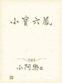 小宝六凤