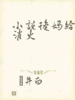 小说后妈给我消消火