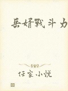 岳婿战斗力