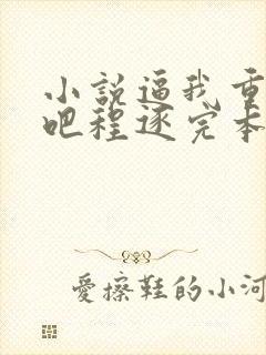 小说逼我重生是吧程逐完本免费阅读