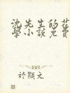 沈先生的花式教学小说免费