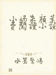 小妈朱颜叶巧免费阅读小说名