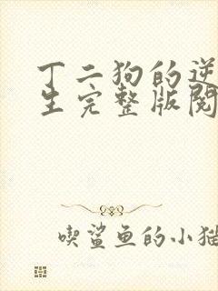 丁二狗的逆袭人生完整版阅读封面