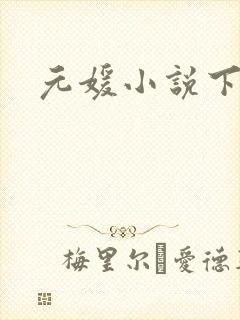 元媛小说下载