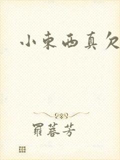 小东西真欠弄封面