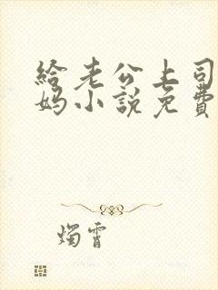 给老公上司当奶妈小说免费阅读