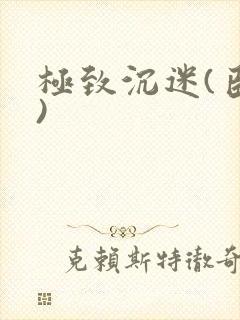 极致沉迷(臣年)封面