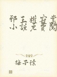 邪王权宠掌心娇小说免费阅读下载
