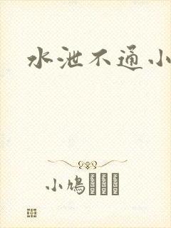 水泄不通小说