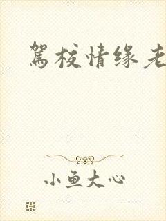驾校情缘老赵