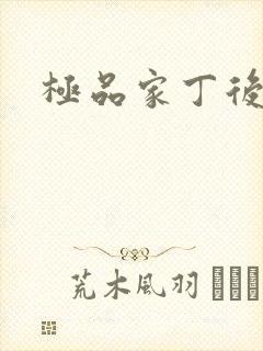 极品家丁后传