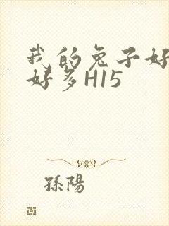 我的兔子好软水好多H15封面
