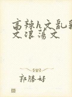 高辣h文乱乳h文浪荡文