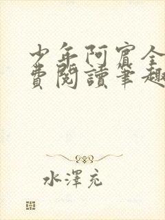 少年阿宾全文免费阅读笔趣阁
