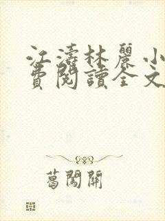 江涛林丽小说免费阅读全文封面