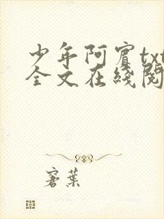 少年阿宾txt全文在线阅读