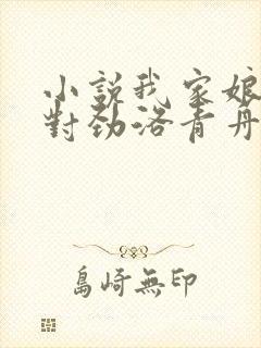 小说我家娘子不对劲洛青舟免费全集