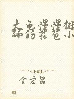 大龟慢慢挺进老师的花苞小说封面