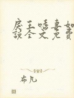 戾王嗜妻如命小说全文免费阅读封面