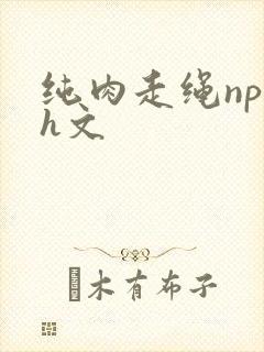 纯肉走绳np高h文