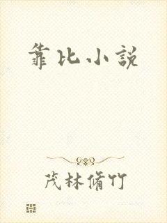 靠比小说