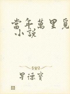 当年万里觅封侯 小说