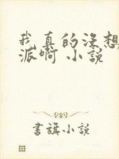 我真的没想当反派啊 小说