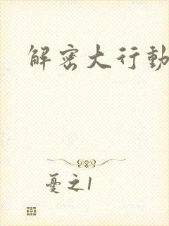 解密大行动