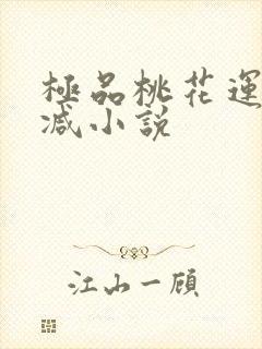 极品桃花运未删减小说封面