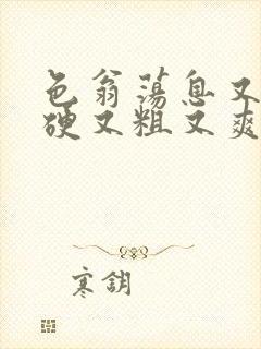 色翁荡息又大又硬又粗又爽小莹