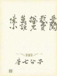 亿万总裁爱上我小说免费阅读全文