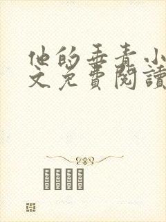 他的垂青小说全文免费阅读在线阅读封面