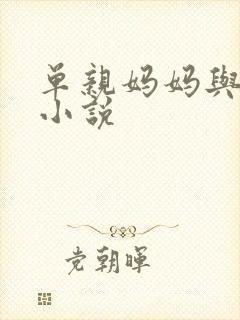 单亲妈妈与儿子小说