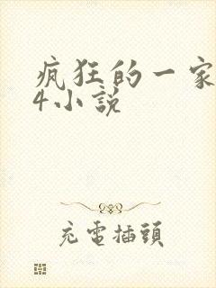 疯狂的一家ps4小说封面