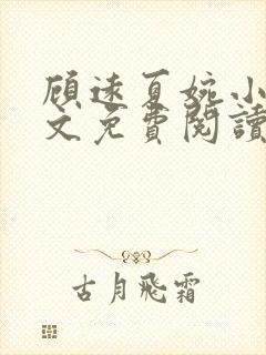 顾远夏婉小说全文免费阅读