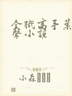 全职高手叶修有声小说
