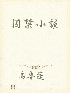 囚禁小说封面