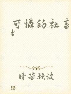 可怜的社畜txt