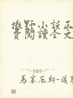 撒野小说正版免费阅读全文无弹窗封面