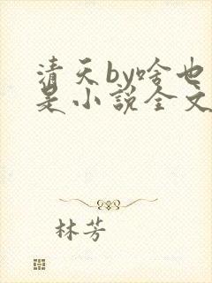 清天by啥也不是小说全文免费阅读