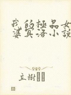 我的极品女鬼老婆冥洛小说全文免费阅读封面