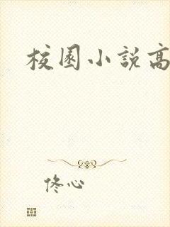 校园小说高h封面