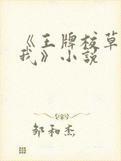 《王牌校草别惹我》小说封面