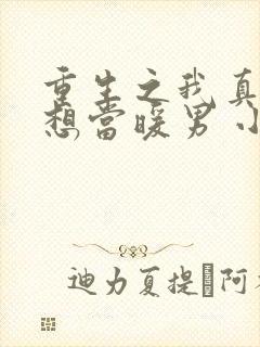重生之我真的只想当暖男 小说