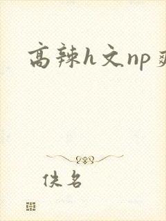高辣h文np爽