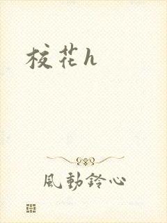 校花h