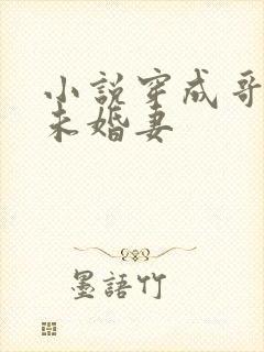 小说穿成哥哥的未婚妻