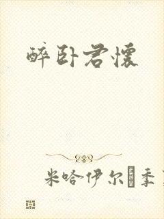 醉卧君怀封面