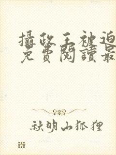 摄政王被迫承欢免费阅读最新章节更封面